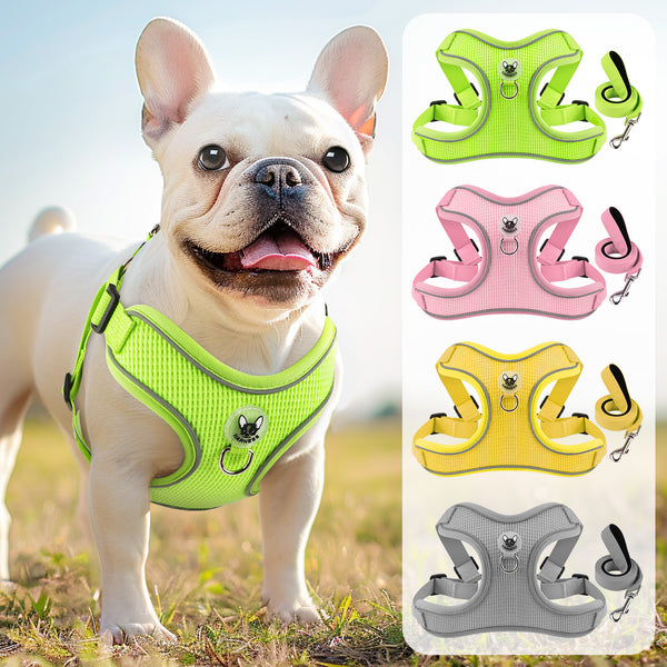 TZ3028 Reflective Dog Harness and Leash Set