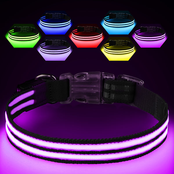 TC5220 Light Up Dog Collar