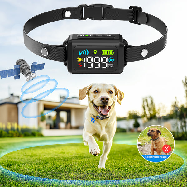 722 GPS Dog Fence