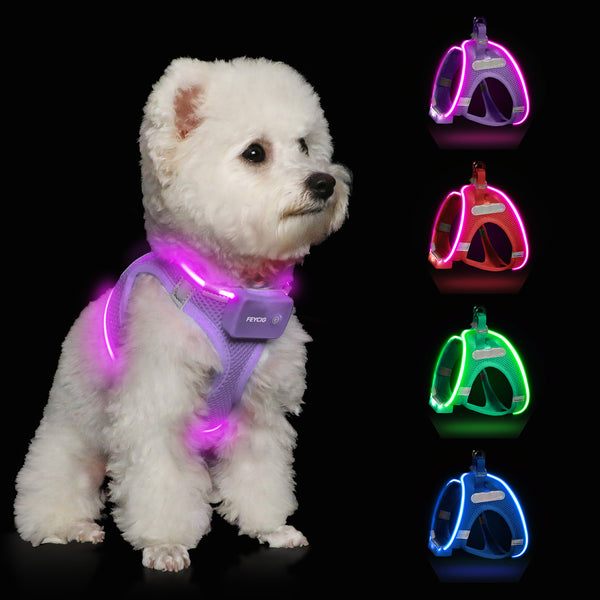 TC3010 LED Dog Harness