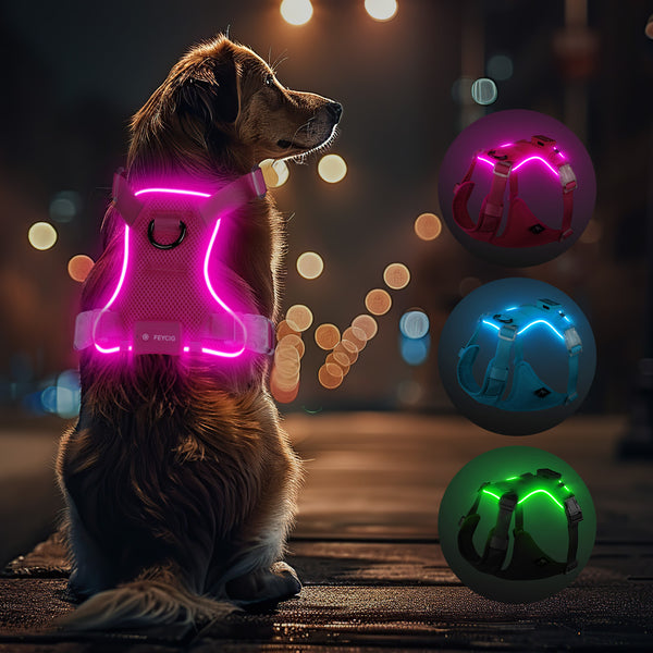 TC3011 Light Up Dog Harness